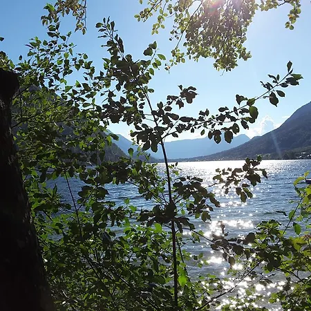 An Der Traun