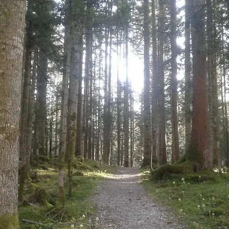 An Der Traun Apartamento *