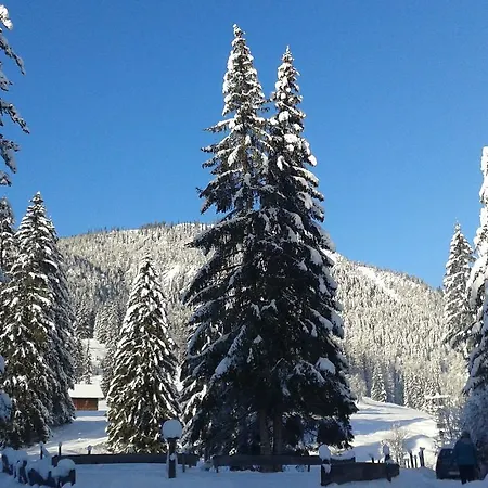 An Der Traun Apartamento